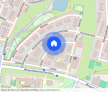 Dwupokojowe mieszkanie ul. Leska - Projektant - Zdjęcie 1