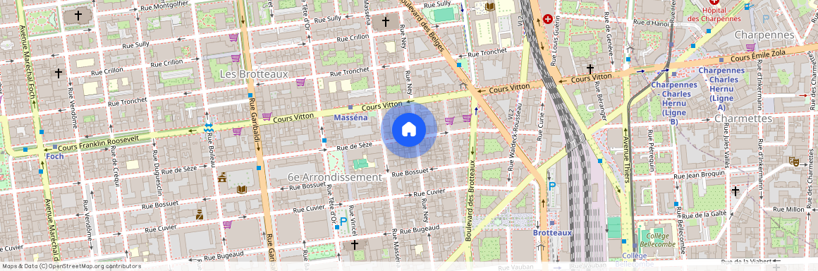 123 RUE DE SEZE, LYON 6EME ARRONDISSEMENT Les Brotteaux