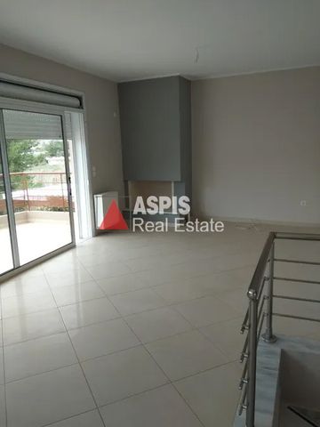 Μονοκατοικία 250 τ.μ. προς ενοικίαση - Photo 4