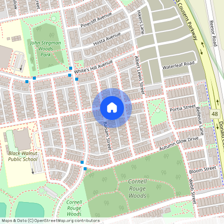 103 Shady Oaks Avenue, Markham