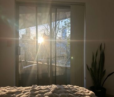 Woolloomooloo - Photo 3