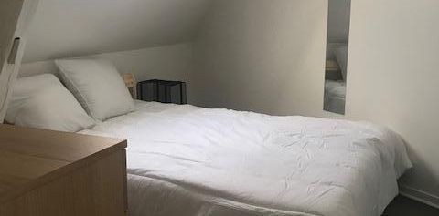 Location Appartement 1 pièce 20m² - Photo 2