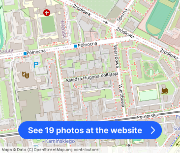 Duże Klimatyczne mieszkanie w Centrum Łodzi - Photo 1