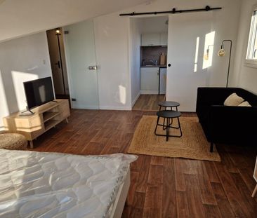 Location Appartement 1 pièce Meublé 28m² ANGERS 49100 - Photo 2