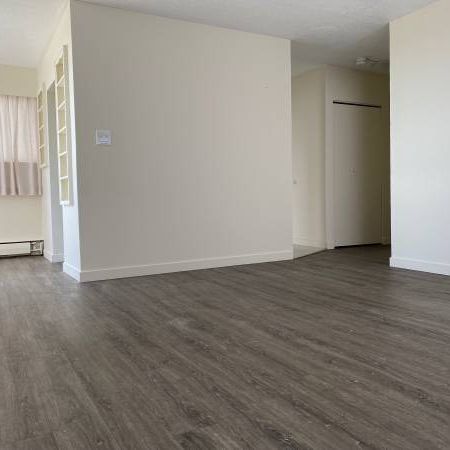 1bedroom apartment available - Photo 1