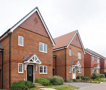 3 bedroom terraced house to rent - Photo 5