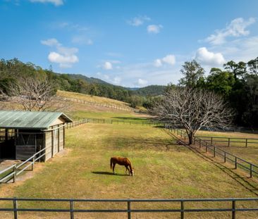 212A Stewart Road, Clagiraba, QLD 4211 - Photo 1