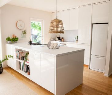 Perfection in Takapuna - Photo 5
