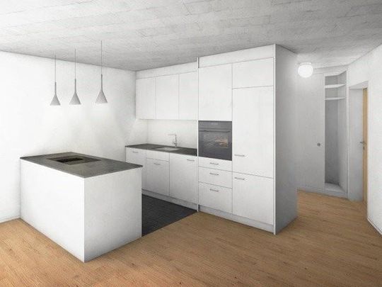 Modernes Wohnung im grünen Muttenz - Foto 1