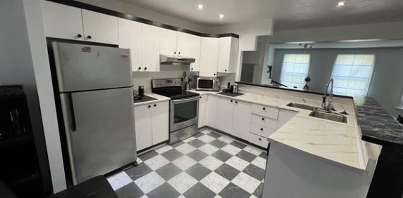 6 1/2 - Montréal (Centre-Sud) - 2 500 $/mois - Photo 2