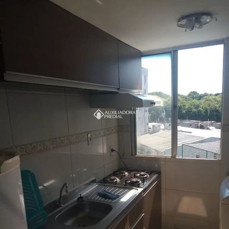 Apartamento com 2 quartos e 40m² para alugar em Jardim Leopoldina, Porto Alegre. - Photo 4