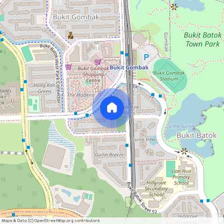528 Bukit Batok Street 51 (650528), Singapore