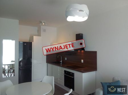 Dwupokojowe mieszkanie 41m2 ul. Powstańców Śląskich - Photo 5