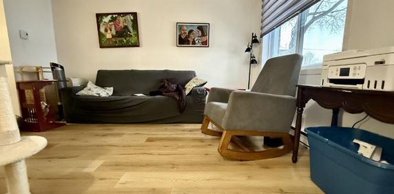 Appartement 4 ½ à louer juillet 2026 - Photo 2