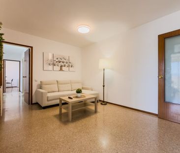 Carrer de Fructuós Gelabert, Sant Joan Despí, Catalonia 08970 - Photo 2