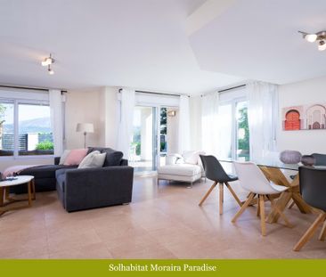 Paradise WINTER OFFER - Photo 3