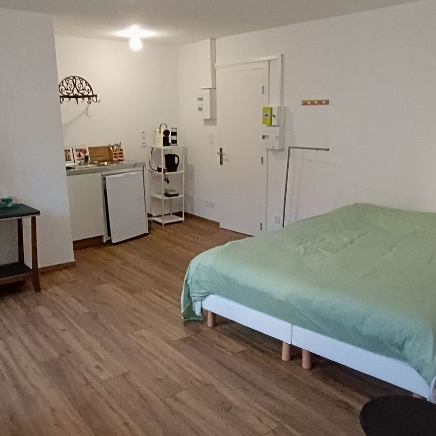 Location Appartement 1 pièce 25m² - Photo 1
