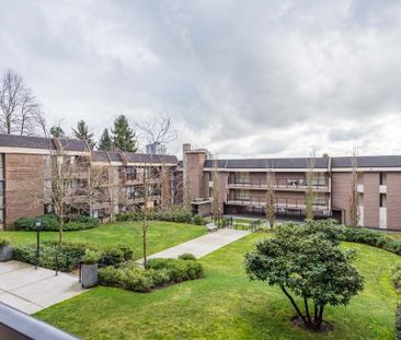 Cedar Terrace - Photo 3