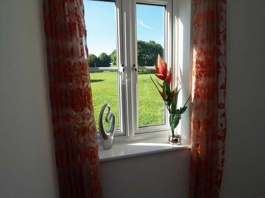 4 bedroom house share to rent - Photo 1