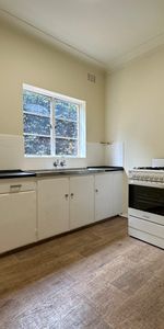 1/34 Elizabeth Street, Artarmon NSW 2064 - Apartment For Rent | Domain - Photo 4