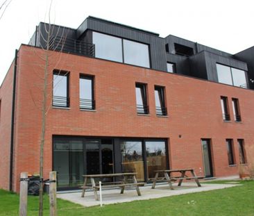 't Hoge 11 - Photo 6