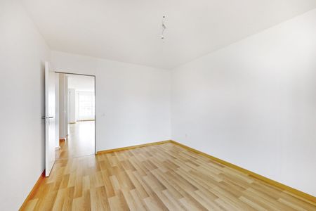 Just a few minutes from the Rhine River - Photo 3