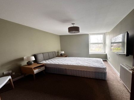 Hilltown 256 1/2, DD3 7AS, Dundee - Photo 3