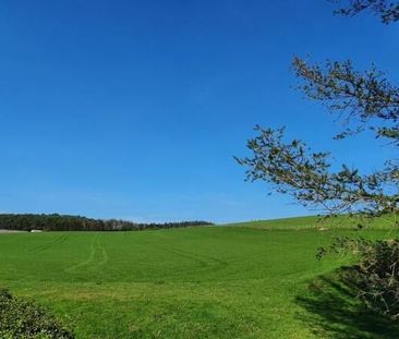 More House, Shelve, Minsterley, Shrewsbury, SY5 - Photo 3