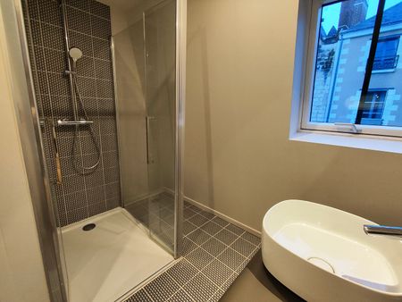Location Appartement 3 pièces 72m² TOURS 37000 - Photo 5