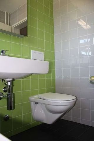2.5 Zimmer, 61 m², 2. Stock - Foto 3