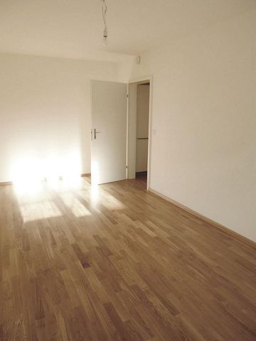 Achtung, fertig, Gundeli! - Photo 4