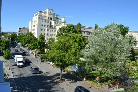 Sehr gut gelegene 43m² Wohnung - Ihr neues Zuhause mit allem, was Sie brauchen! 5 Minuten zu Fuß von der Donauinsel entfernt - Photo 5