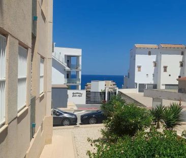 Torrevieja - Photo 3