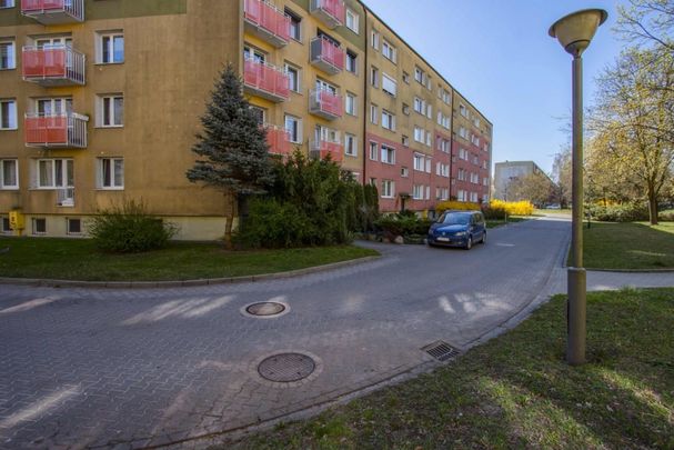 Mieszkanie do wynajęcia 3 pokoje Przyjaźni, Poznań 59 m² - Фото 1