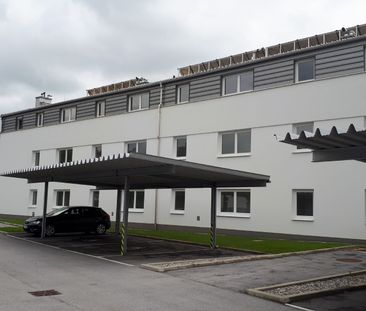 GRÜNAU VIII/1 - Photo 4