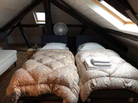 Charme et confort en plein centre - Photo 3