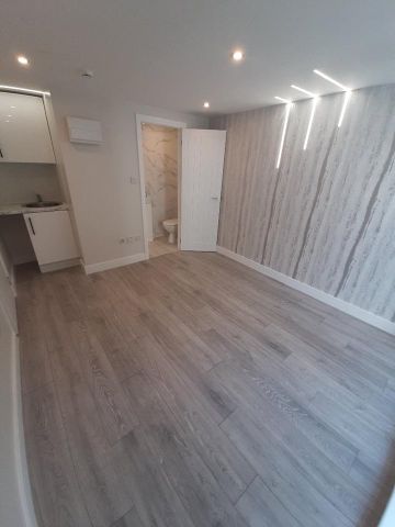 Studio Flat, Minster Rd, NW2 - Photo 3