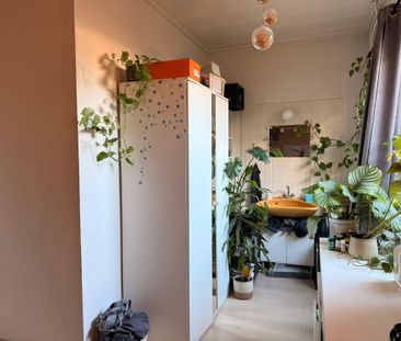 Diezerplein - Photo 3