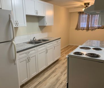 Amazing Find in Red Deer! 3 Bedrooms, 1 Bath!! - Photo 5