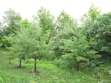 For Lease - 42 Midcrest Circle, Brampton, Ontario - Photo 5