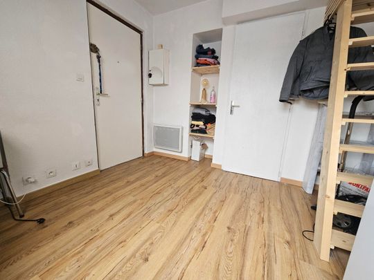 Location Appartement 1 pièce 10m² GRENOBLE 38000 - Photo 1