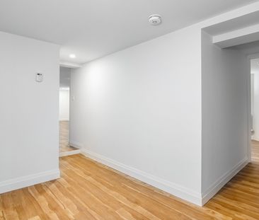 For Lease - 42 Delaware Avenue Unit# LOWER, Toronto, Ontario - Photo 2