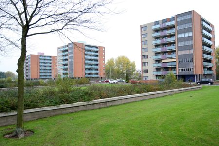 Te huur: Hoge Filterweg 624 - Foto 4