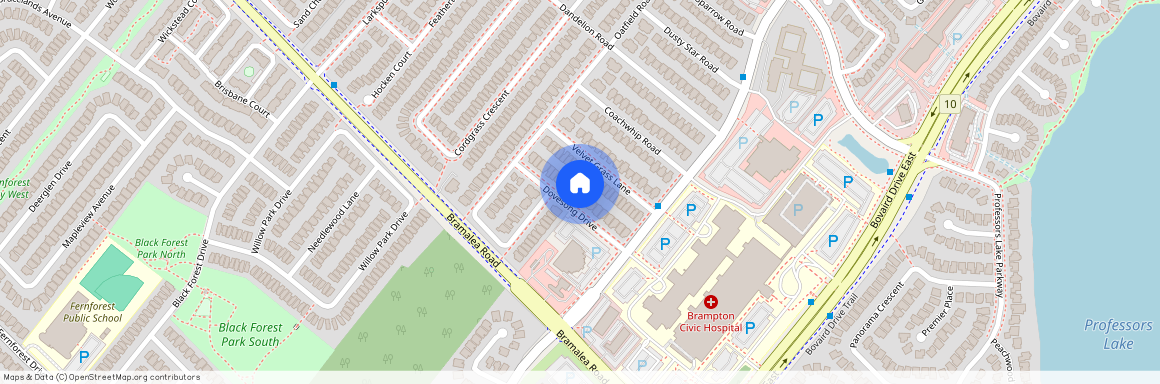 19 Dovesong Drive, Brampton