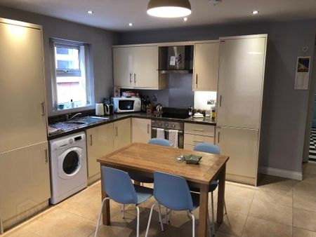 95c Eglantine Avenue, Belfast, BT9 6EX - Photo 4