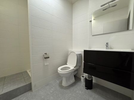 Location Appartement 1 pièce 23m² LIMOGES 87000 - Photo 4