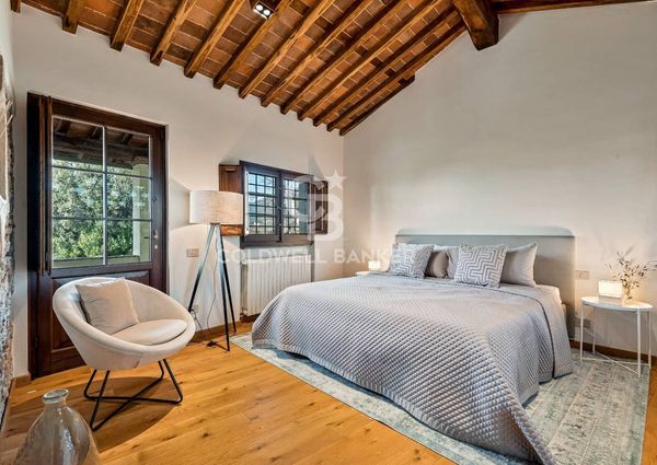 viale apua, Pietrasanta, Tuscany 55045