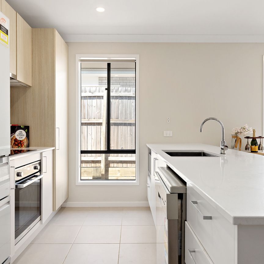 76 Spruce Circuit, Hillcrest QLD 4118 - House For Rent | Domain - Photo 1