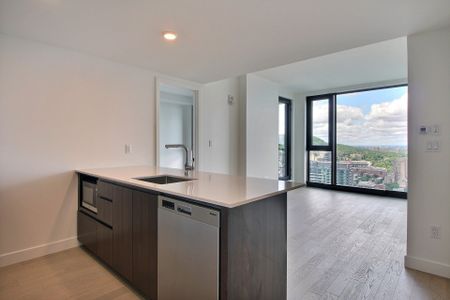 Condo for rent, Montréal (Ville-Marie) - Photo 4