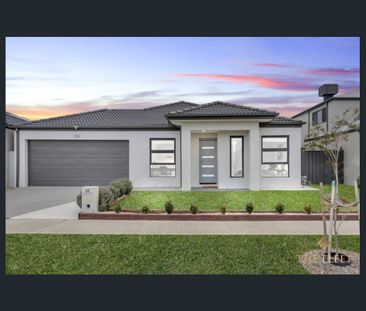 47 Antonio Road, Tarneit, Vic 3029 - Photo 5